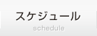 スケジュール